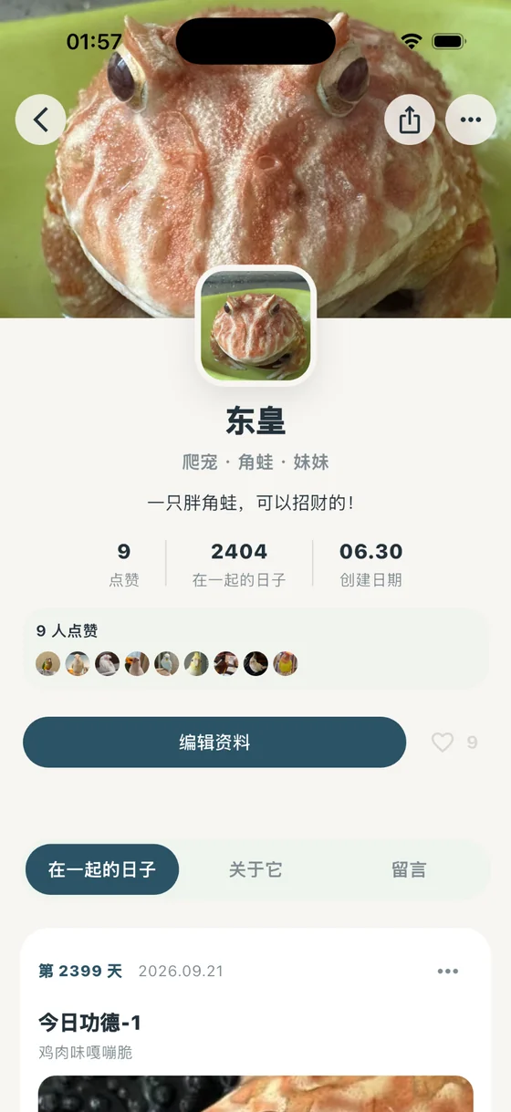 与你在一起 App 的宠物专属主页实际界面